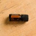 30%OFF doTERRA Arborvitae 5ml Essential Oil Powerful cleansing and purifying Aromatherapy