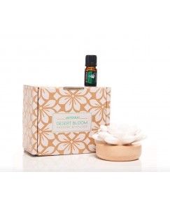doTERRA Desert Bloom Diffuser + Holiday Peace 5ml Set Essential Oil Aromatherapy